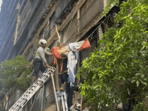 मुंबई में 10वीं मंजिल से कूदी नवविवाहिता, पेड़ में फंसी:पैर में डाल घुसने से हवा में लटकी; 20 फीट ऊपर से रेस्क्यू | ACTPnews