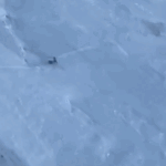Nun Kun Mountain Rescue | Army Pilots Save Patient at 18,600 Feet | ACTPnews