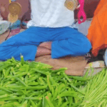 रांची का इंटरनेशनल प्लेयर बेच रहा सब्जियां:थ्रोबॉल खिलाड़ी अमरदीप ने जीते हैं गोल्ड मेडल, सरकार से मदद की उम्मीद | ACTPnews