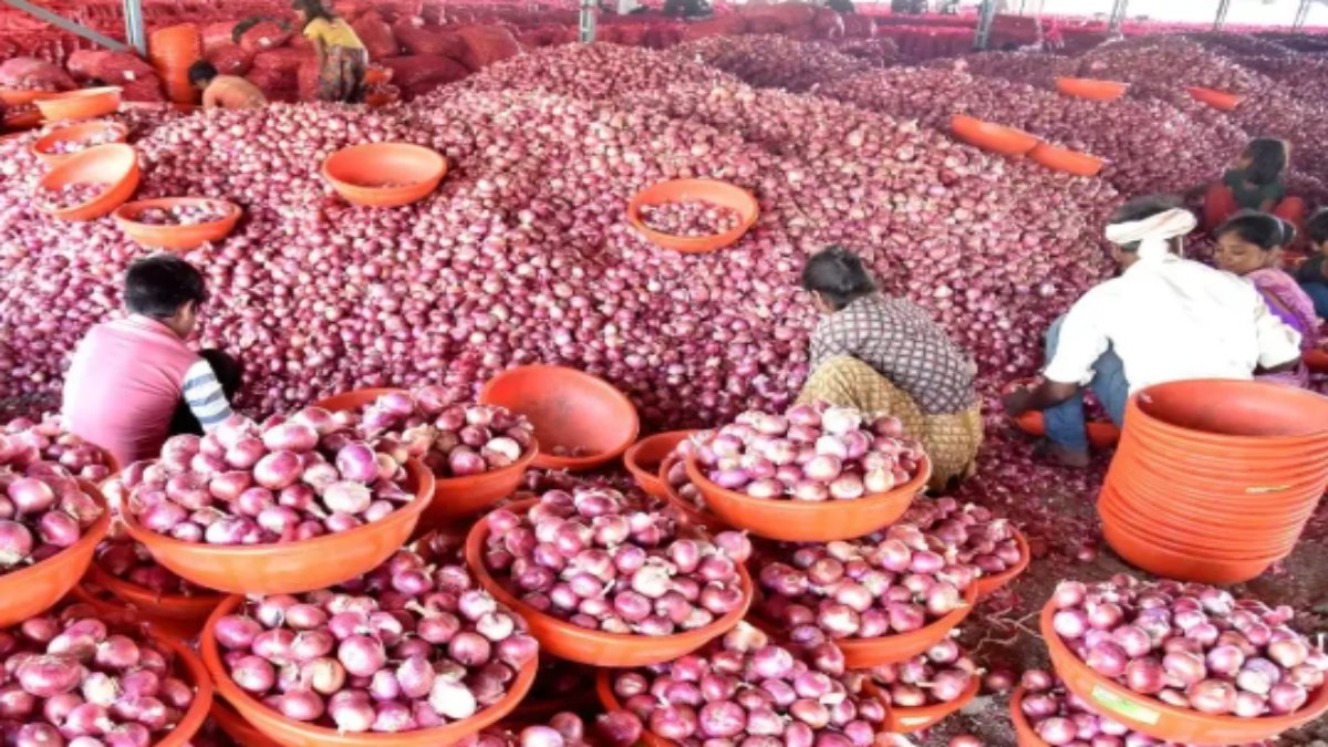 तमिलनाडु में सस्ता बिक रहा प्याज, इन दुकानों से खरीद सकते हैं 35 रुपये में एक किलो