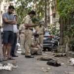 मुंबई में 20 बिल्लियों को मारने वाला आरोपी गिरफ्तार:गुस्से में की थी हत्या; PETA ने ₹50 हजार का इनाम रखा था | ACTPnews