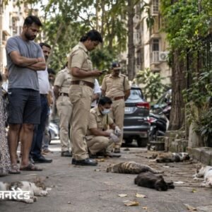 मुंबई में 20 बिल्लियों को मारने वाला आरोपी गिरफ्तार:गुस्से में की थी हत्या; PETA ने ₹50 हजार का इनाम रखा था | ACTPnews