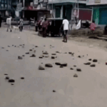 Manipur Violence | Kuki-Naga Conflict Escalates Schools Markets Shut | ACTPnews