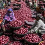 Onion Price Surge in Maharashtra and Karnataka | ACTPnews