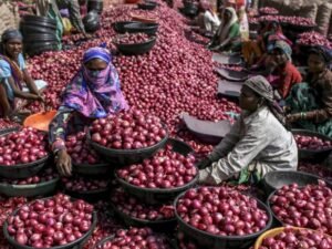 Onion Price Surge in Maharashtra and Karnataka | ACTPnews