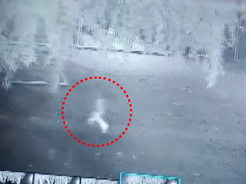 Junagadh Leopard Attack Video; 6 Year Old Girl