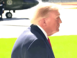 ट्रम्प बोले- फ्लाईदुबई को-पायलट का ईरान कनेक्शन हो सकता है:ऐसा हुआ तो कड़ी कार्रवाई होगी; UAE को सौंपा गया भारतीय पायलट पर हमले का आरोपी | ACTPnews