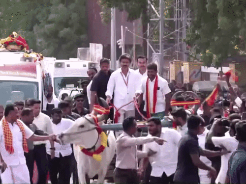 तमिलनाडु समेत 4 राज्यों में उपचुनाव के लिए प्रचार खत्म:CM विजय ने धारापुरम में 40km लंबा रोड शो किया; 6 अक्टूबर को वोटिंग होगी | ACTPnews