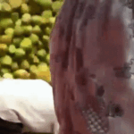 Indore T20: West Indies Cricket Team Demands Extra Coconut Water | ACTPnews